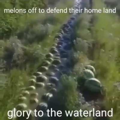 fuck it 5am shit post. God bless our melons