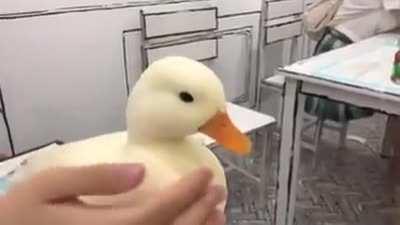 This smoooooooth duck!