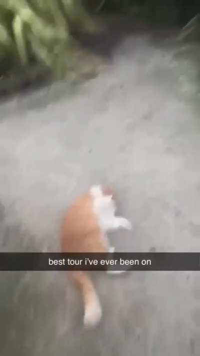 The best tour guide