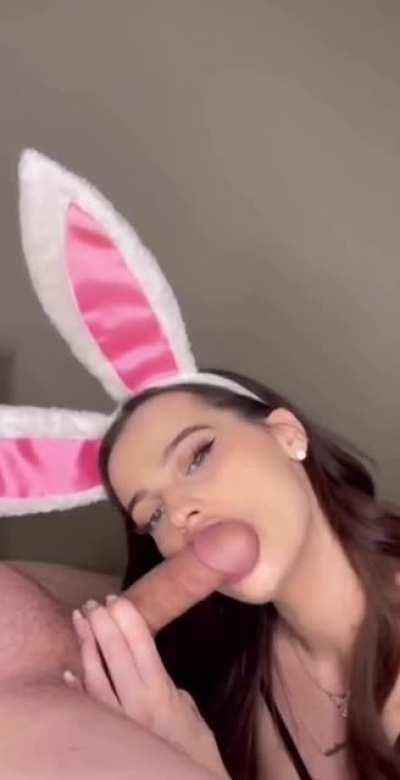 i’m the blowjob bunny