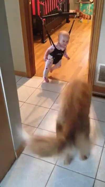 The doggo shows the toddler how to jump!