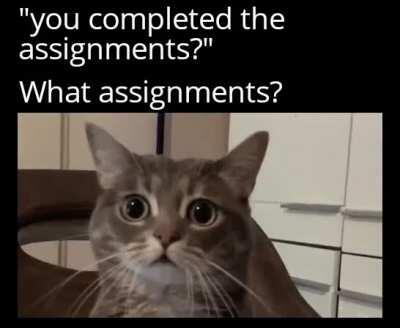 My exact reaction yesterday. Had to complete 8 assignments.