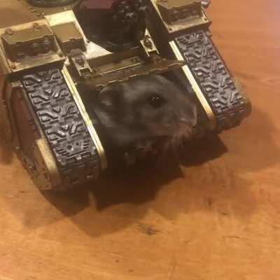 Warhamster Horus deployed in Istvaan V