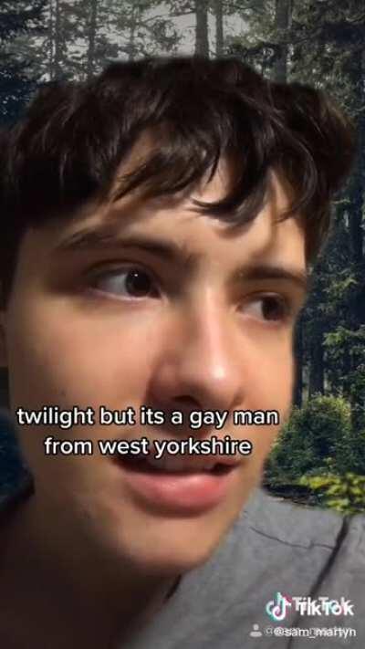 twilight but it's a gay man from west yorkshire