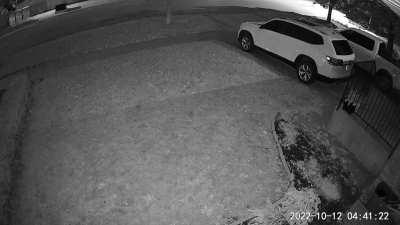 Racoon Steals Pumpkin, just to have to roll down driveway and then down the street.