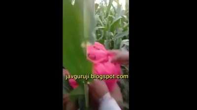 Bhabi ko khet me le jake Sex kiya - javguruji.blogspot.com