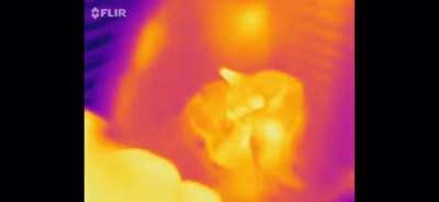 Cody demonstrates how Germanium is transparent in infrared.