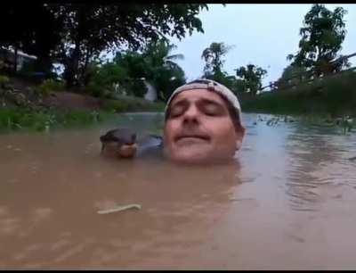 Baby Otter approaches man who is swimming.