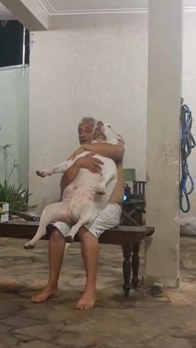 Son: dad, can i have a dog....... FATHER: I don't want any more pets in this house...... -Two months later-