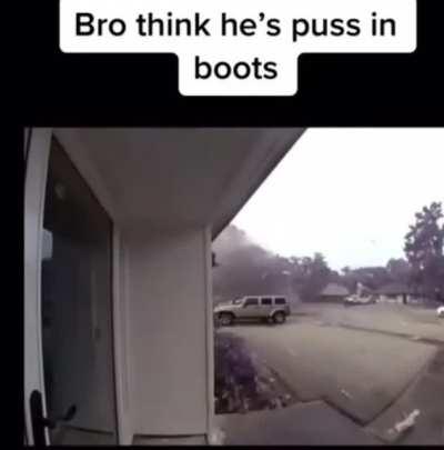 Puss in boots, to the rescue of a meth lab explosion!