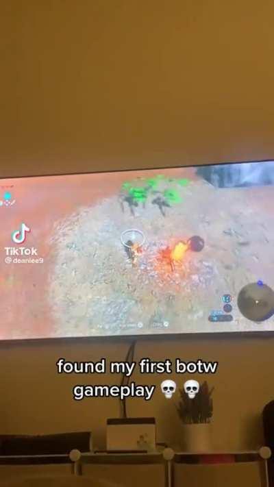 My first experiences with BOTW