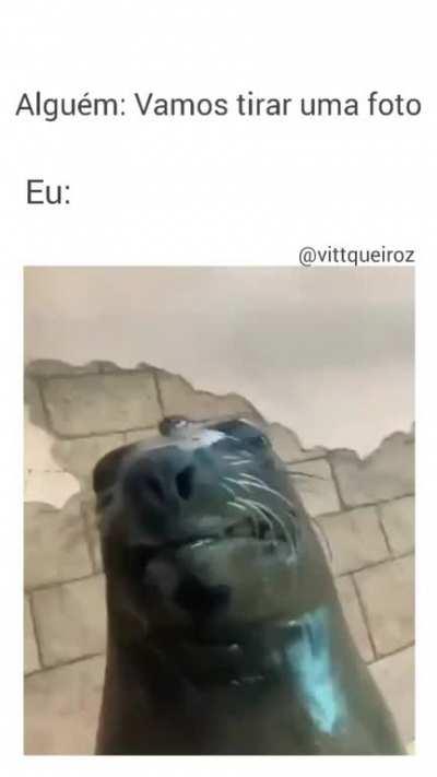 Memes assim também pode?