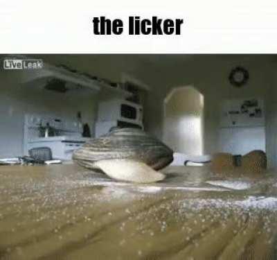 licker wunker