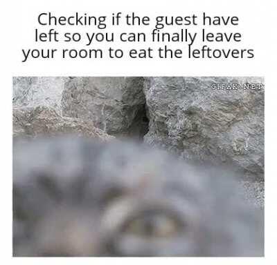 Those precious leftovers