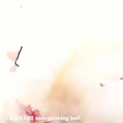 Fire Extinguisher Ball