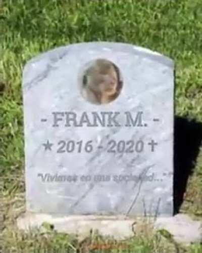 RIP Frank. Best Anime ever