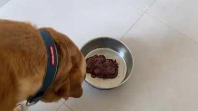 It’s my dogs 5th birthday today, he got a special meat cake