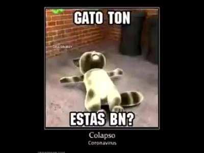 Tom gato ton dead 😱😱😱😭😭