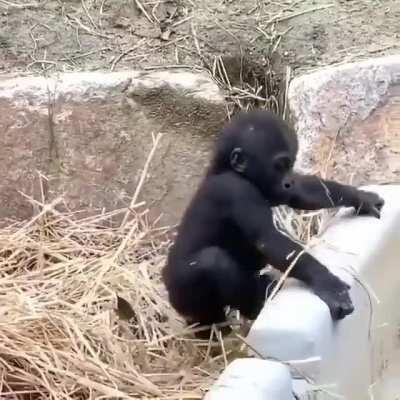 Vídeo raro do muquinha se divertindo quando criança