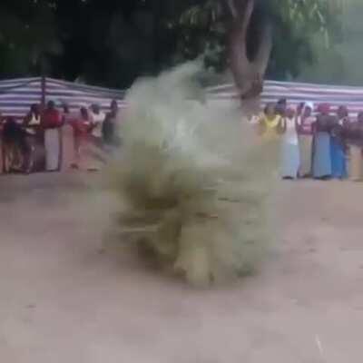 The Zangbeto is a ritualistic Gambian dance wherein the dancer is cloaked in palm fronds from head to toe