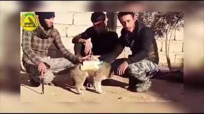 Iraqi militiamen intercept a puppy strapped with explosives and sent at their lines by ISIS (February 2017)