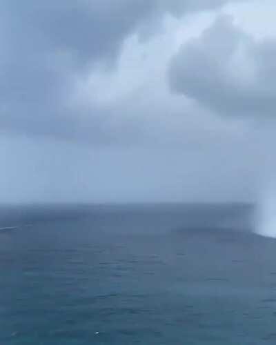 Three Waterspouts simultaneously in the Gulf of Mexico 🌪️