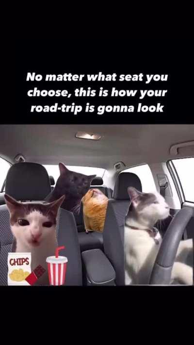 Wunky road trip 