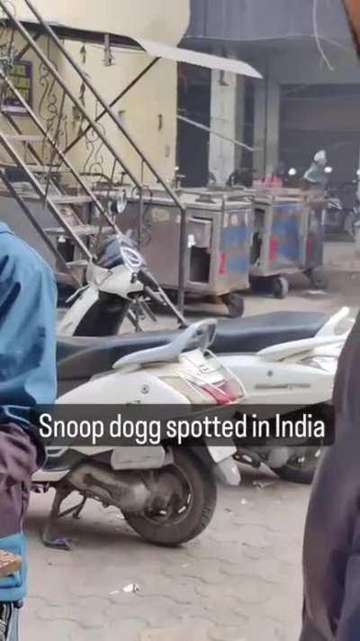 endian snoop dog