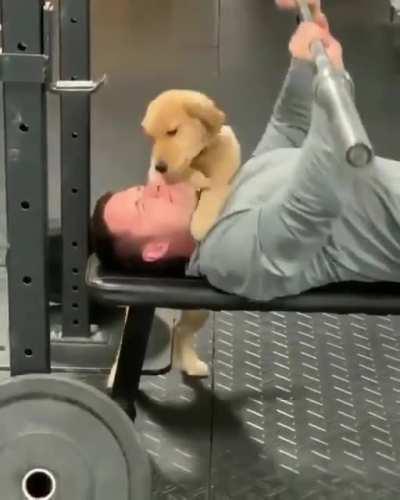 Do you need a Spotter?