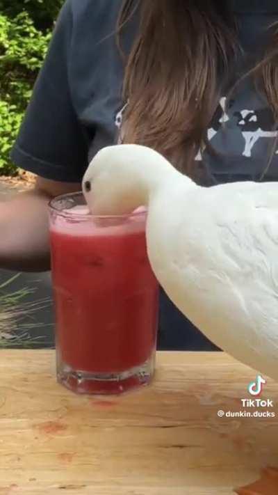 A girl teaches people how to make fruity drinks for their pet ducks