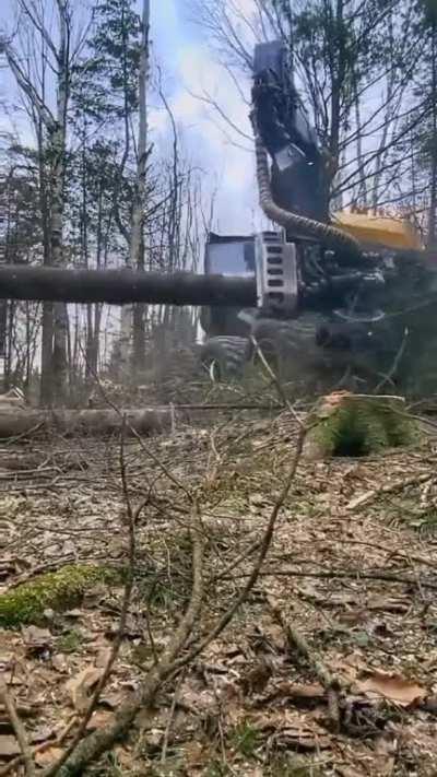 Tree destroying machine!