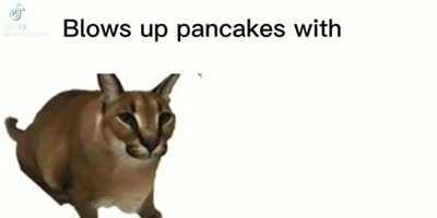 Frick Pancakes