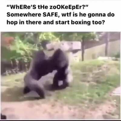 Where is he?