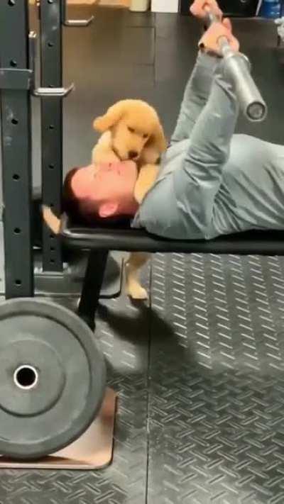 The best gym PAWtner ever 🐶💪🏼