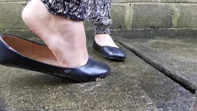 Black flats crush snail x