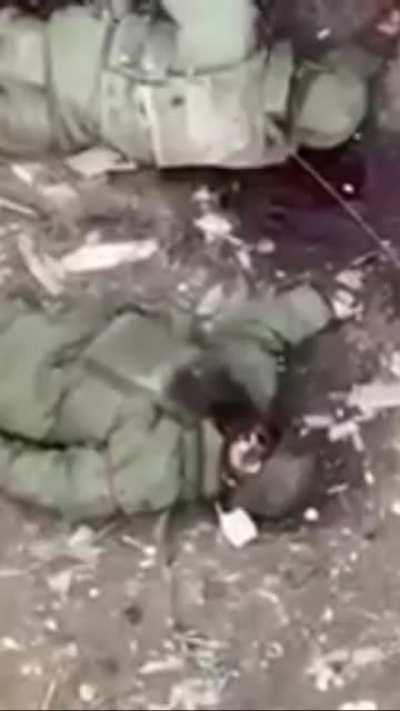 Russian PoW execution by Ukrainian soldiers.