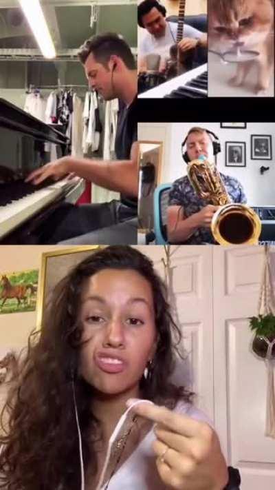 A cat drinking milk turns to a polka swing epic. Credit to mimo_mio Joe Di Fiore thesprout Tom_Franek Gabrielle Martin W Book on tiktok