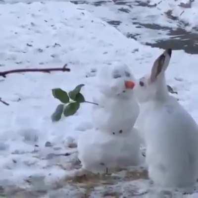 Bunny devouring a snowman's nose