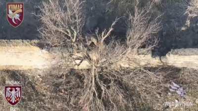 Russian soldier tries to stop a Ukrainian FPV drone hunting him with a tree branch but the drone explodes anyways