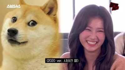 Sana copying shiba photos