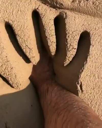 This hand going in this mud!