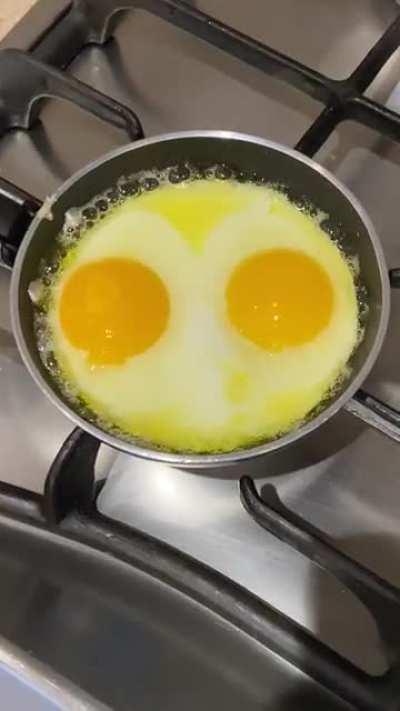 Eggs or Space Owl