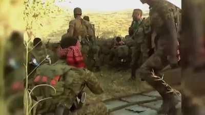 Ethiopian army offensive on tigray rebel - november 2020