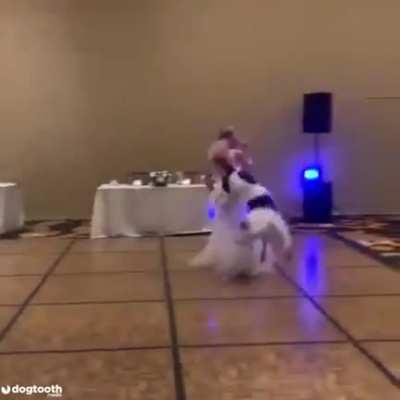 Good boi gets the first dance . Amazing!