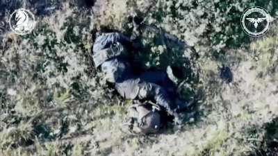 UA POV Extremely graphic scenes from the pokrovsk direction, Russian bodies filmed by a drone from the 47th OMBR, NSFL