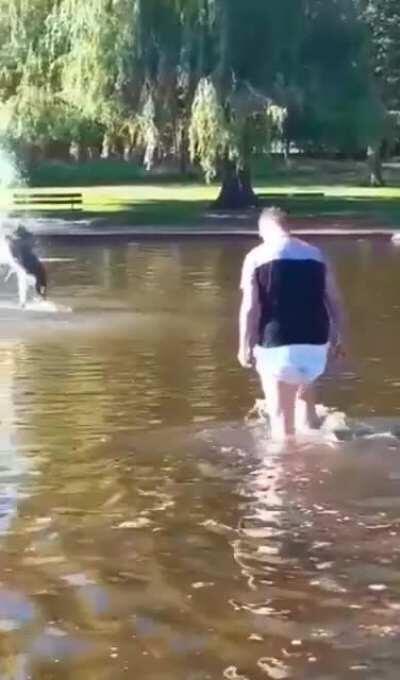 Poor owner has to wade through gross brown water to fetch stupid dog that doesn't understand water jets...