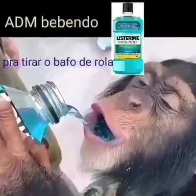 AIAI ADM