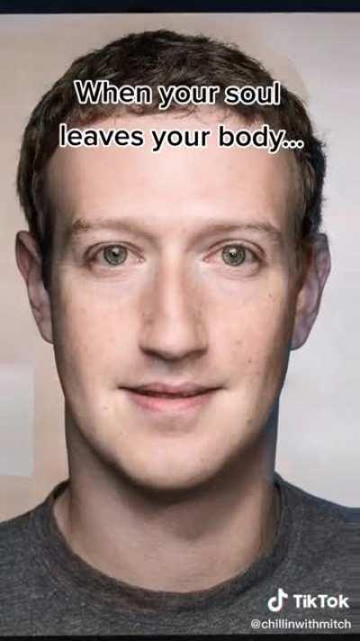 Is Mark Zuckerberg a lizard?