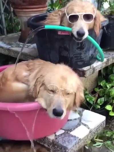 Staying cool