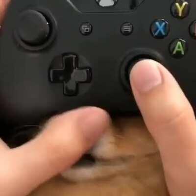 Nice to have extra buttons in the controller